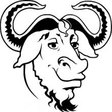 GNU Compiler Collection 10